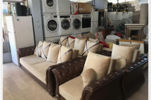 Maltepe Spotçu