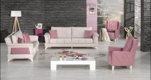 Başakşehir 2. El Eşya Alan Firmalar